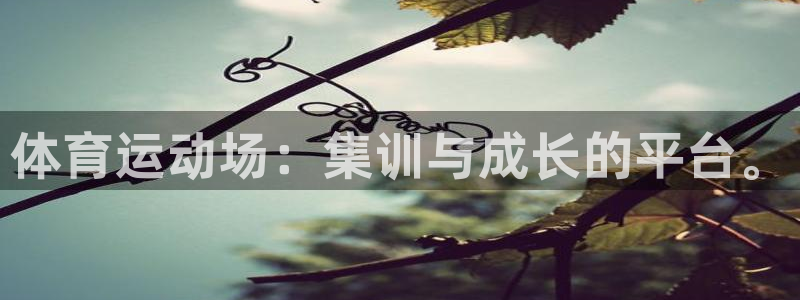 天天体育回看