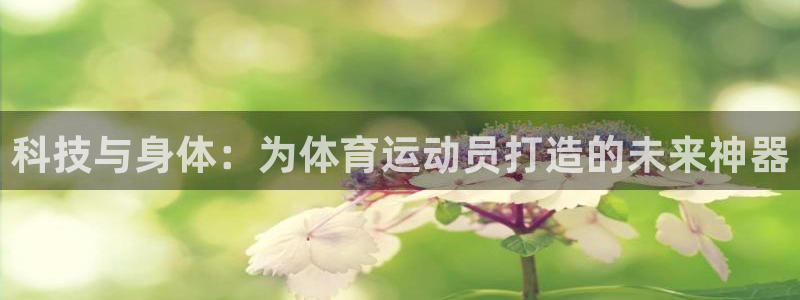 天天体育三分球节目在线观看
