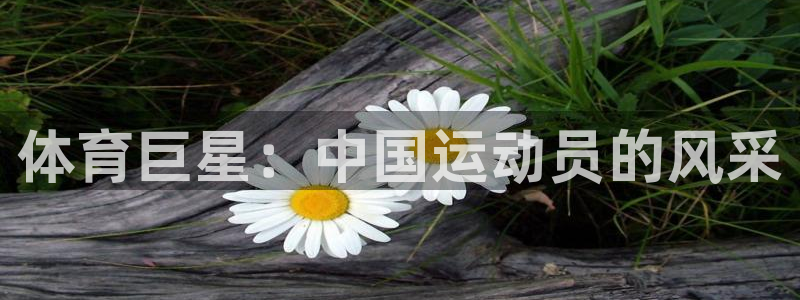 天天体育节目表
