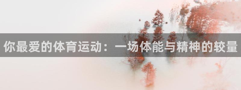 天天体育nba直播免费观看：你最爱的体育运动：一场体能与精神的较量