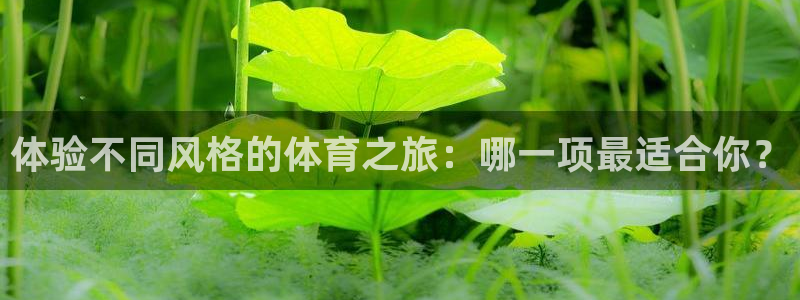 天天体育的微博视频陆放2003：体验不同风格的体育之旅：哪一项最适合你？