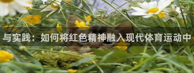 天天体育广告：与实践：如何将红色精神融入现代体育运动中